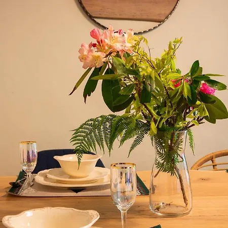 Dwupoziomowy Hanka Vip Apartament