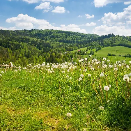 Dwupoziomowy Hanka Vip 维斯拉