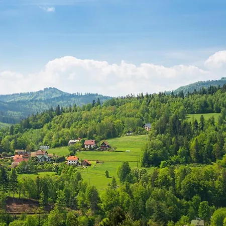 Dwupoziomowy Hanka Vip 维斯拉