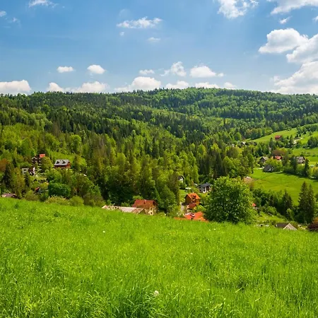 Dwupoziomowy Hanka Vip Apartament