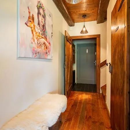 Dwupoziomowy Hanka Vip Apartament *