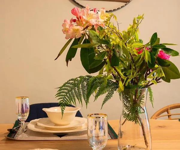 Dwupoziomowy Hanka Vip דירה