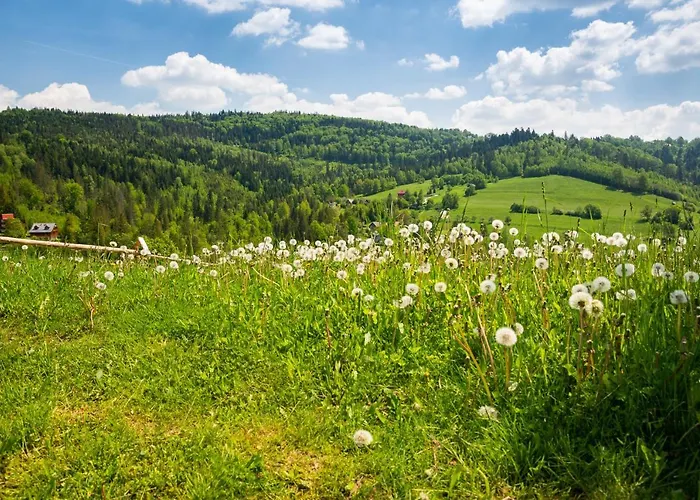 Dwupoziomowy Hanka Vip Wisła