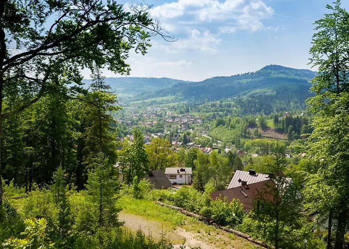 Dwupoziomowy Hanka Vip דירה *