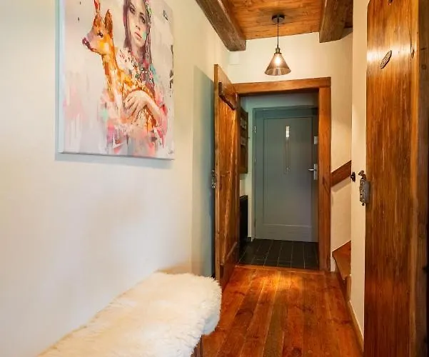 Dwupoziomowy Hanka Vip Lejlighed *